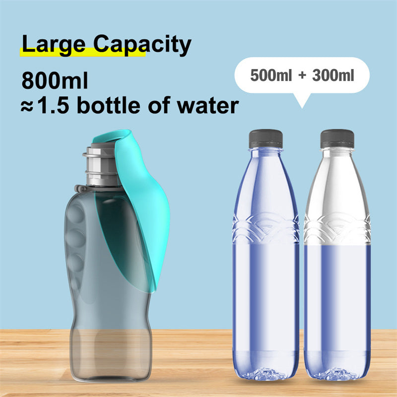 Pet Water Bottle 800ml