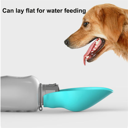 Pet Water Bottle 800ml