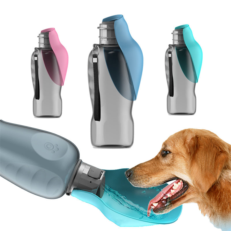 Pet Water Bottle 800ml